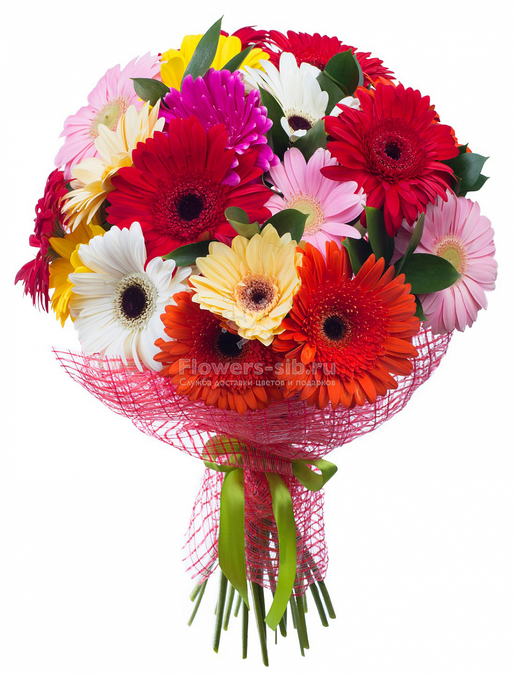 19 Gerberas